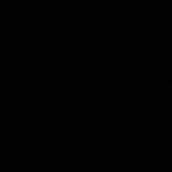 Meet your Posher, Haley - Picture 1 of 1